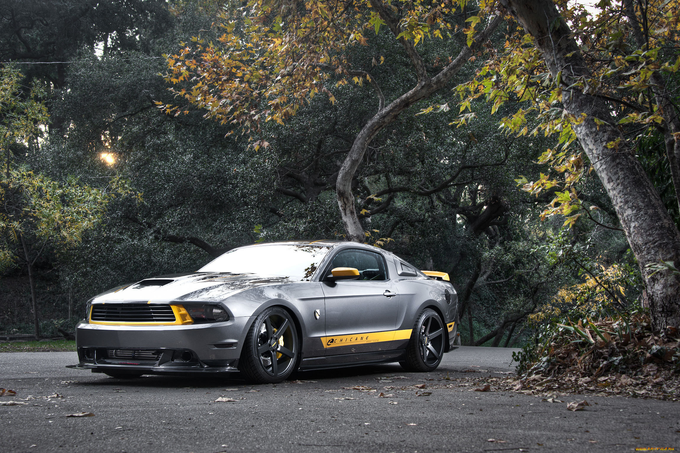 mustang, , , , , 